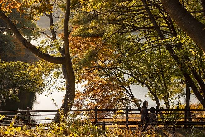 구례 천은사 상생의 길.