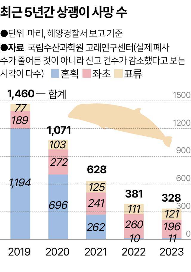최근 5년간 상괭이 사망 수. 그래픽=송정근 기자