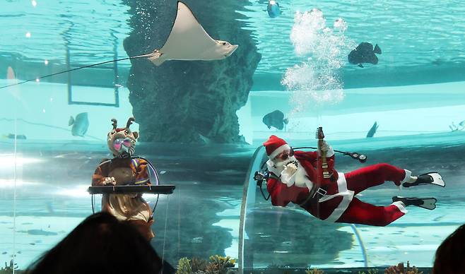Divers feed fish and pose for photos on Dec. 25, 2024, at National Maritime Museum of Korea, as part of a Christmas event. [SONG BONG-GEUN]