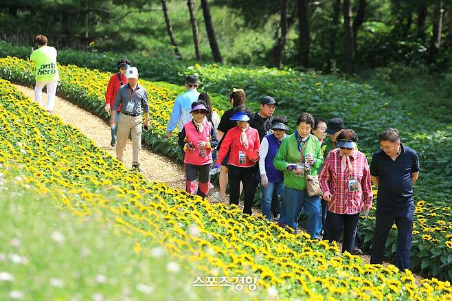 2025 인제 가을꽃 축제. 인제군 제공