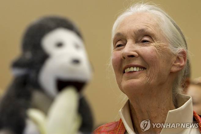 제인 구달 박사 [EPA=연합뉴스 자료사진. 재배포 및 판매 금지]