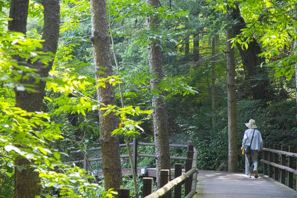 의왕 청계산맑은숲공원/ 경기관광공사 제공.