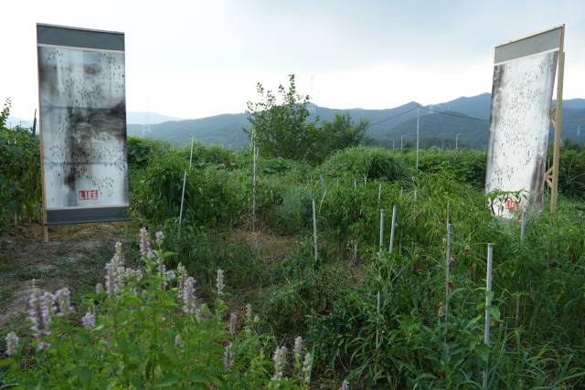 정안용 개인전-당신의 자리 설치 전경. 작가 제공