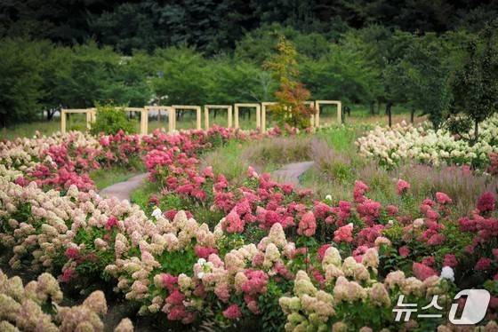 국립백두대간수목원(한국수목원정원관리원 제공.재판매 및 DB 금지) /뉴스1