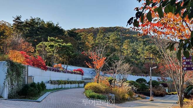바다향기수목원 의 가을&nbsp; /사진-경기도