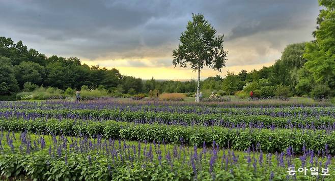 허브를 키워 다양한 감각을 일깨우는 도카치힐스. 김선미 기자 kimsunmi@donga.com
