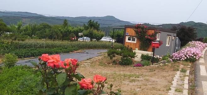 장미와 향달맞이꽃이 핀 지난해 5월 하순의 농막과 텃밭.