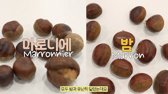 사진=식약처 블로그 캡처