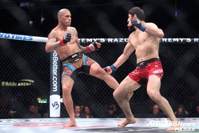 페레이라에게 있어 이번 경기는 리벤지 매치다. 그는 지난 UFC 313에서 안칼라에프에 고전, 결국 챔피언 벨트를 내주고 말았다. 이스라엘 아데산야전 패배 후 5연승을 달리며 존 존스와의 슈퍼파이트까지 언급됐던 그의 좌절이었다. 사진=AFPBBNews=News1