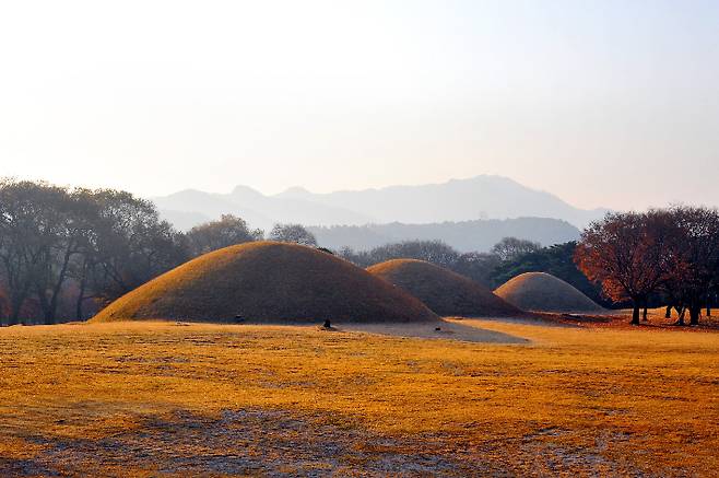 경주 대릉원의 아침풍경. 경주시 제공