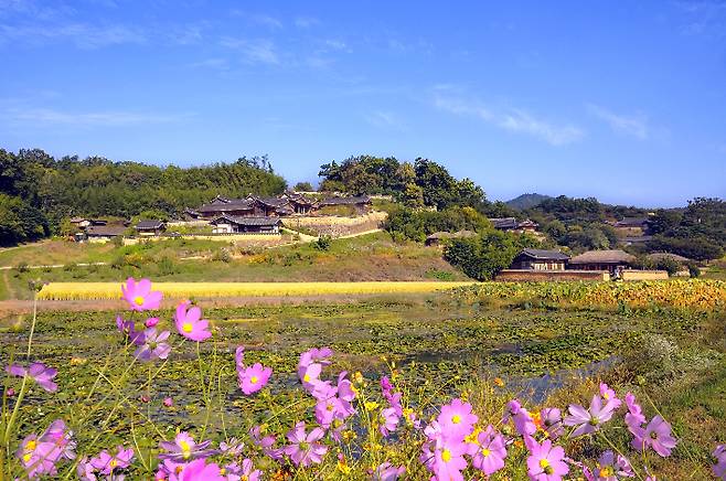 경주 양동마을의 가을. 경주시 제공