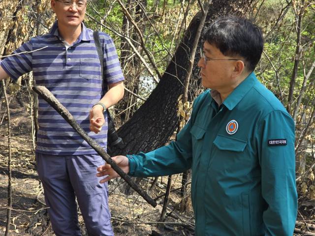 ▲지난 3월 대형산불 피해 현장을 방문해 전문가 설명을 듣고 있는 차규근 의원. ⓒ차규근의원실