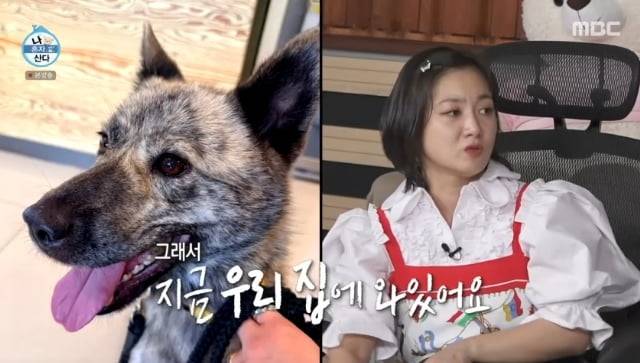 / 사진=MBC '나 혼자 산다'