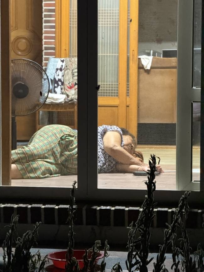 깨를 마당에 말려두고 지쳐주무시는 할머니 사진 아래에 깻대가 보인다. /김윤지