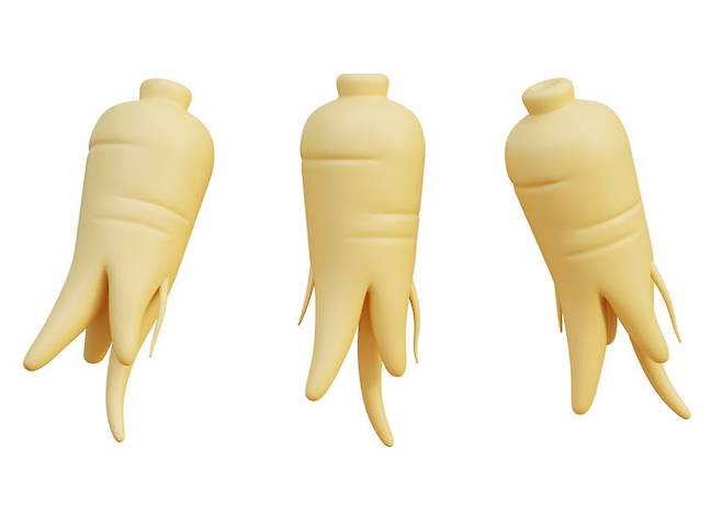 인삼과 홍삼은 같은 뿌리지만 가공 방식에 따라 효능과 체내 흡수율이 다르다. 장기 복용과 특정 체질·질환은 부작용 위험이 있어 전문가 상담이 필요하다. 사진=게티이미지