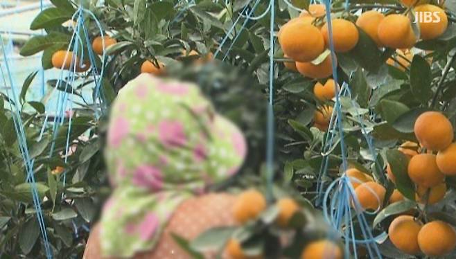 사진은 이해를 돕기 위한 자료 화면이며 기사 내용과 직접 관련이 없음.