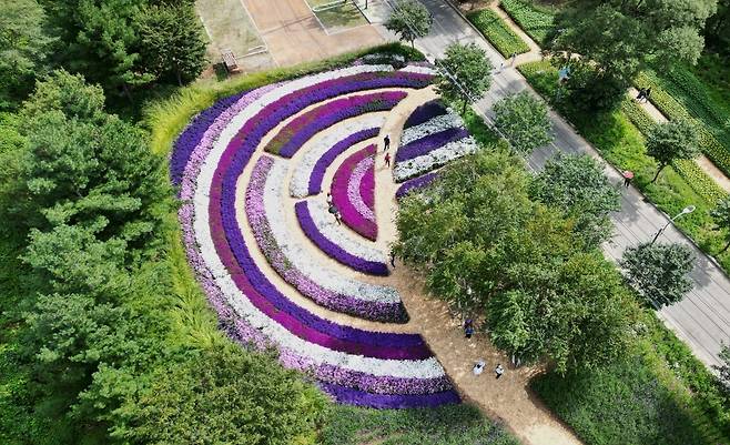 강원 인제군 용대 관광지 일원에 조성된 대규모 꽃밭 전경. 이곳에서는 매년 가을 꽃축제가 열린다. 인제군 제공