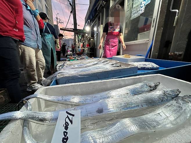 제주시 수협 위판장 앞 생선 가게에 이날 들어온 생물 갈치가 진열돼 있다. 문정임 기자