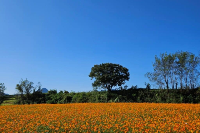 가조온천관광지. 사진제공=거창군