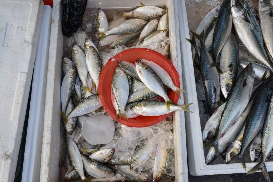 이수진 作 '#9 망경동 오일장