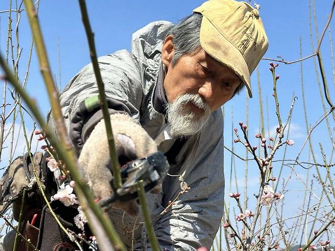 강기갑 의원은 자신을 ‘흙사랑 농장’ 주인이라고 밝혔다. 그곳에서 매실 밭 2만평과 염소 20마리, 당나귀 한 마리, 닭 30여 마리를 키운다. 강기갑 전 의원 페이스북 갈무리