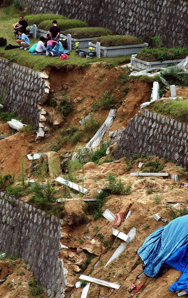 추석인 2003년 9월11일 지난해 태풍 ‘루사’의 상처가 고스란히 남아 있는 강릉시 사천면 강릉공원묘원을 찾은 한 가족이 폐허 속에서 성묘하고 있다. 경향신문 자료사진