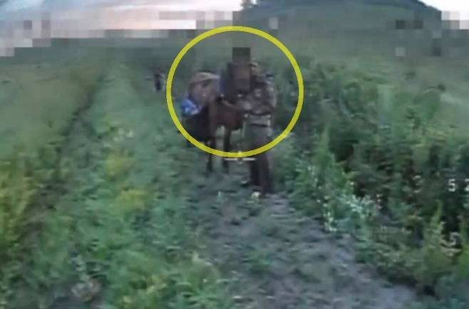 우크라이나 점령지에서 작전에 나선 러시아 병사와 말의 모습(노란 원). 드론 공격 직전 병사는 말머리를 왼쪽으로 밀고 자신은 오른쪽으로 피하려 시도했다. 출처=텔레그램
