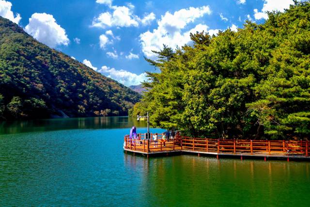 제천의림지 한방치유숲길. 사진제공=산림청