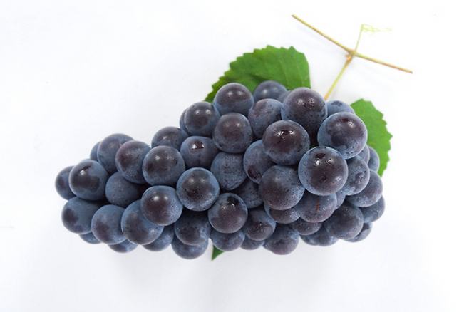 포도
