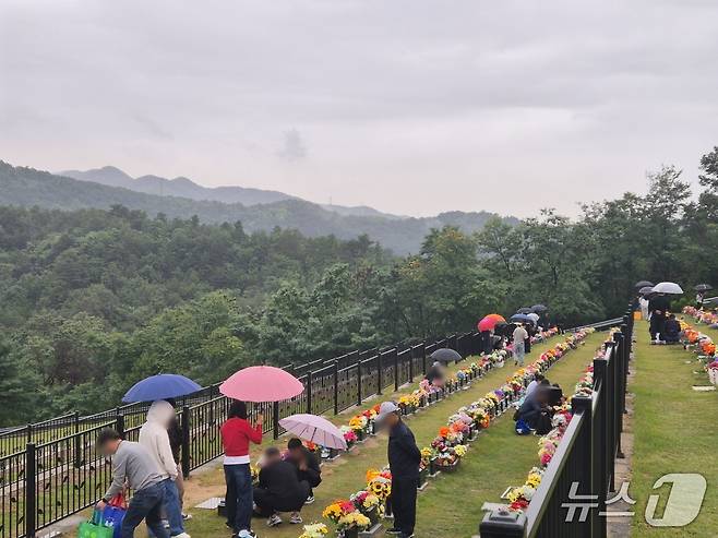 추석 명절인 6일 강원 동해시 공설묘원인 하늘정원이 비 내리는 날씨에도 성묘객들로 가득하다. 2025.10.6/뉴스1 윤왕근 기자