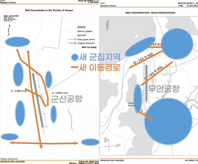 군산공항(왼쪽)과 무안공항의 새 집중지역 차트(Bird Concentrate Chart). 활주로 앞뒤로 새 군집지역이 다양하게 형성된 것을 볼 수 있습니다. 자료 국토교통부 항공정보통합관리시스템