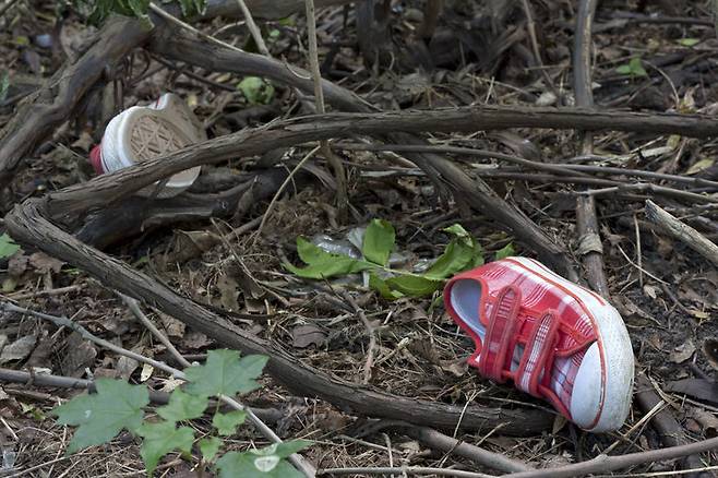 사진=게티이미지