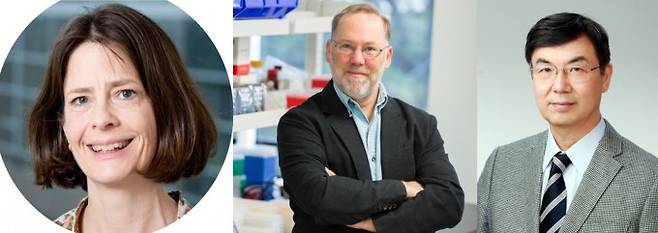 2025년 노벨 생리의학상을 수상한 메리 브란코 미국 시스템생물학연구소 시니어프로그램매니저, 프레드 람스델 미국 소노마바이오테라퓨틱스 과학고문, 사카구치 시몬 일본 오사카대 석좌교수(왼쪽부터). 시스템생물학연구소, 위키미디어 제공.