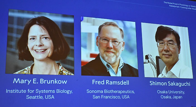 6일(현지시간) 스웨덴 스톡홀름 카롤린스카 연구소에서 열린 노벨상 회의에서 2025년 노벨 생리의학상을 수상자 생물학자 매리 브런코(미국), 프레드 람스델(미국), 사카구치 시몬(일본)가 발표되고 있다. 이들은 ‘조절 T 세포’가 신체를 공격하지 못하도록 막는다는 사실을 밝혀냄으로써 면역 연구 발전에 기여한 점을 인정받았다.[뉴시스]