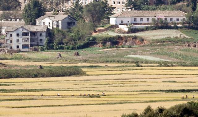 경기도 파주시 오두산 통일전망대에서 바라본 북한 황해북도 개풍군 마을. 뉴스1