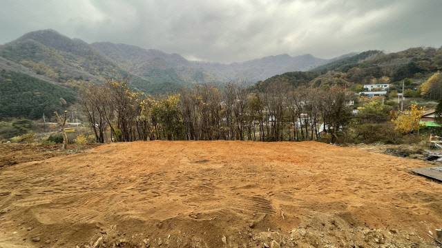 빌리어네어즈가 포천에 조성한 농장. (사진=빌리어네어즈)