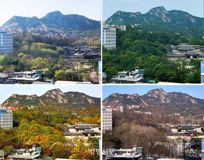 경향신문에서 바라본 경희궁의 사계.