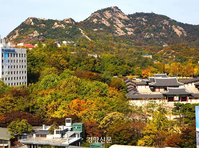 경희궁의 가을.