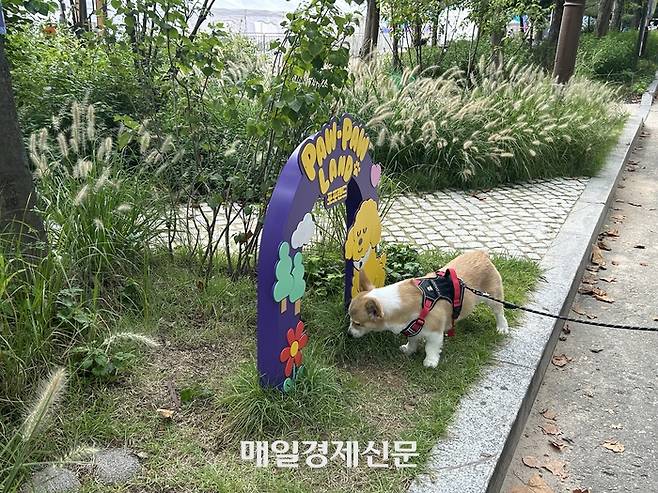 반려견이 포포랜드에서 산책하는 모습. [변덕호 기자]
