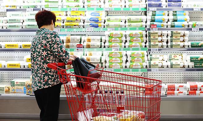 서울 시내 대형마트에서 한 시민이 장을 보고 있다. 연합뉴스