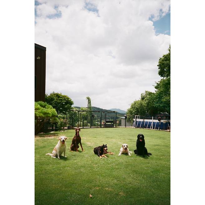 사진 출처=배정남 계정