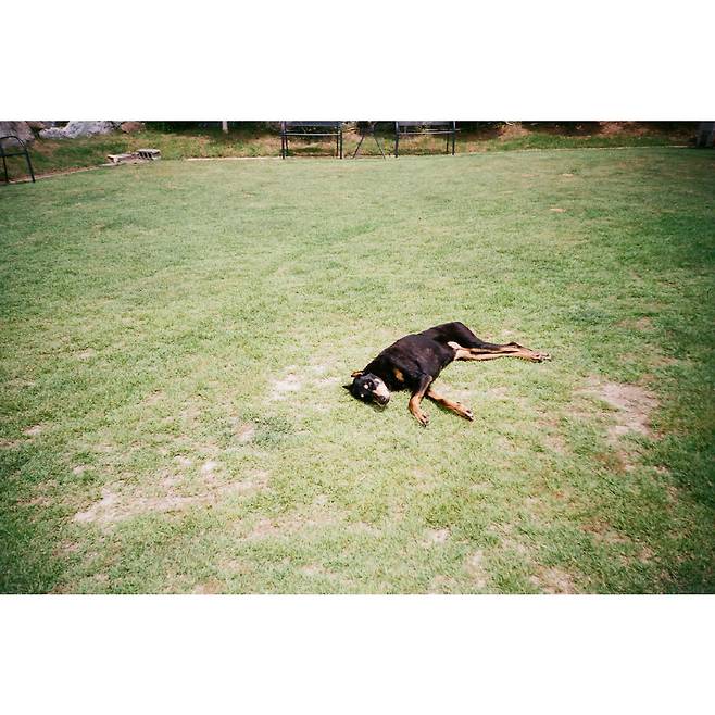 사진 출처=배정남 계정