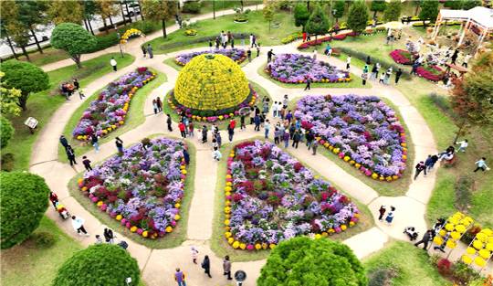 대전 유성구 유림공원 가을 화원. 유성구 제공