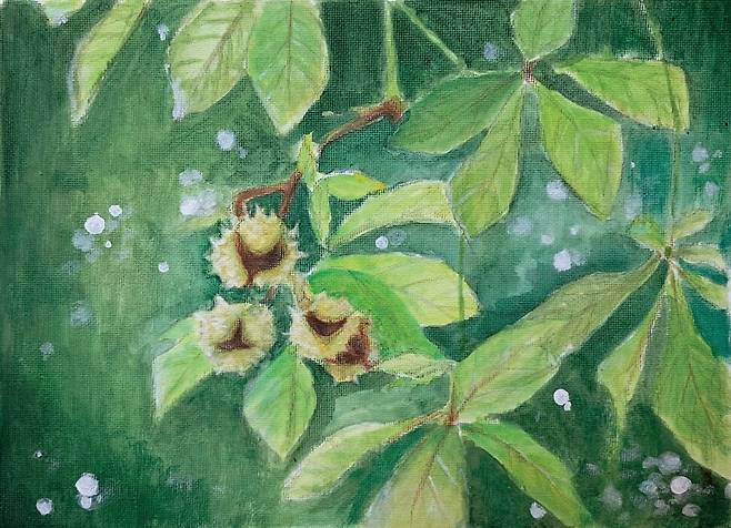 마로니에. 일러스트레이션 차지우.