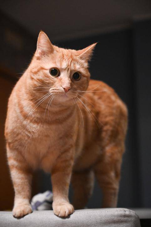 게티이미지뱅크