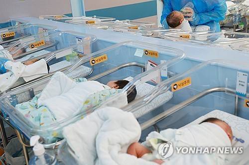 [연합뉴스 자료사진]