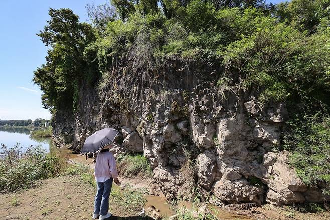 고랑포구의 주상절리 [사진/임헌정 기자]