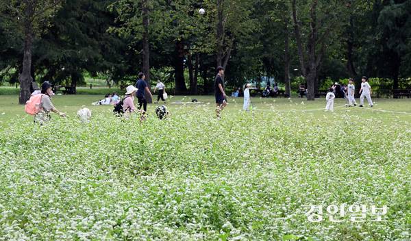 추석 연휴 마지막 날인 9일 오후 수원 탑동시민농장을 찾은 시민들이 즐거운 시간을 보내고 있다. 2025.10.9 /임열수기자 pplys@kyeongin.com