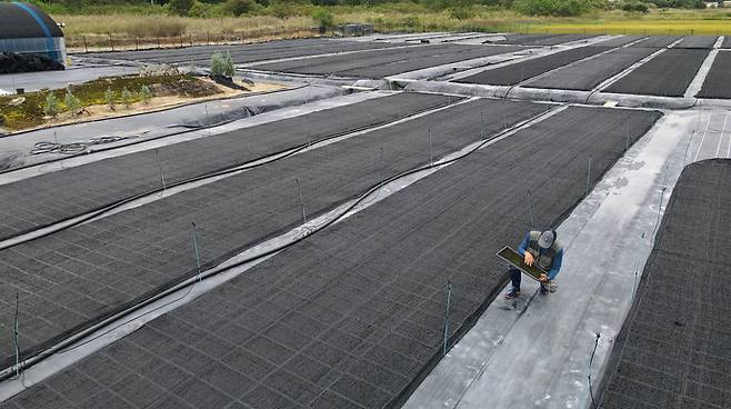 최근 '탄소꽃이끼' 계약 재배에 뛰어들었다가 큰 손실을 보게 됐다고 주장하는 안산의 한 농장 모습. 임채운기자