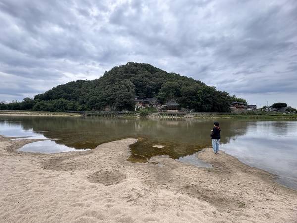 정양레포츠공원에서 본 함벽루(오른쪽 누각)와 매봉산 자락. 가만히 바라보고 있기 좋다. /이서후 기자